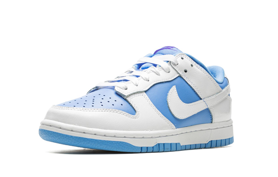 Nike Dunk Low Reverse UNC Women's