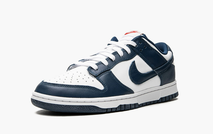 Nike Dunk Low Valerian Blue Men's
