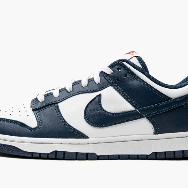 Nike Dunk Low Valerian Blue Men's